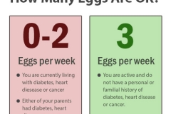 egg-scale