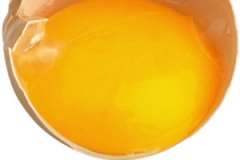 egg-yolk-bad-cholesterol