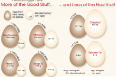 nutrition-facts-pastured-eggs-factory-eggs