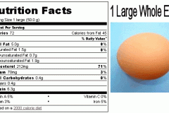 nutrition-of-a-whole-large-egg